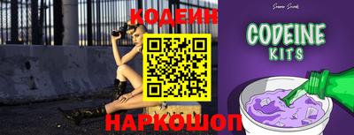 индика Камышлов