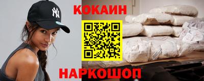 индика Камышлов