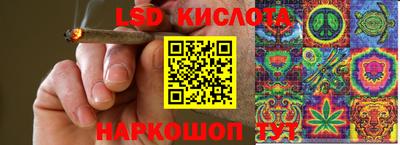 шишки Кандалакша