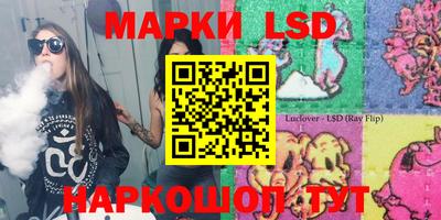 индика Камышлов