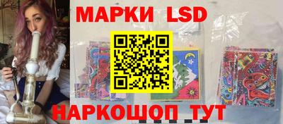 индика Камышлов