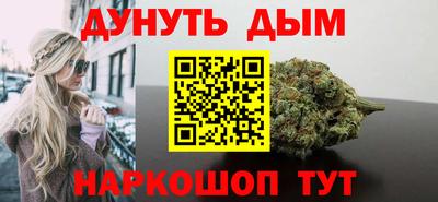 индика Камышлов