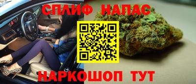 индика Камышлов