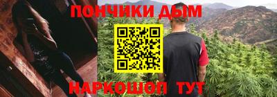 индика Камышлов
