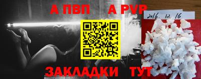 шишки Кандалакша
