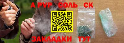 индика Камышлов