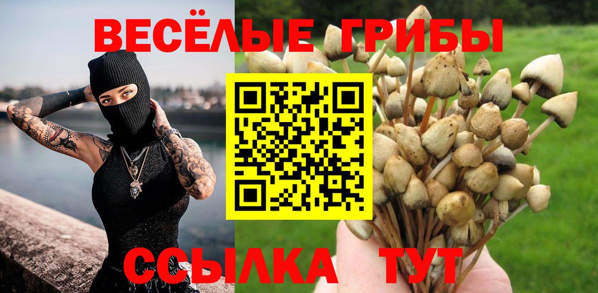 Псилоцибиновые грибы Psilocybine cubensis  Вход с VPN  Кострома 